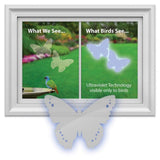Window Alert Butterfly Decals Reflect Ultraviolet Light to Protect Birds from Collisions